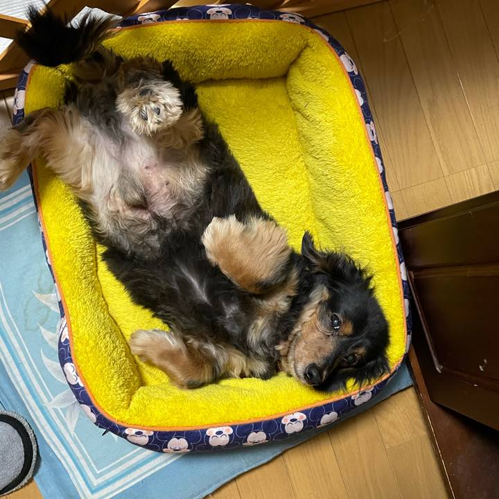 D324f54f d771 47f0 a724 b9cbf8e6da2f 1614544680511