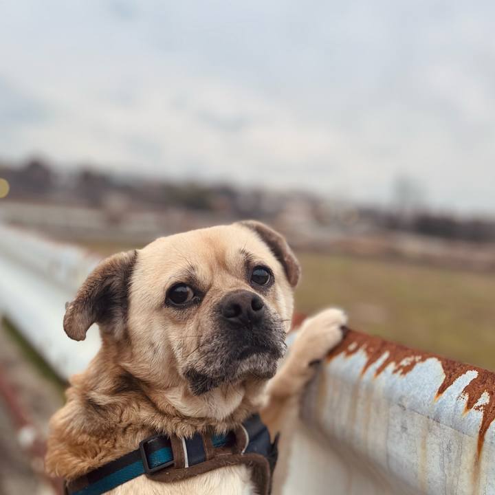 D32520af bd18 48c9 bf8a 77c4d69ecfaf 1772403699129