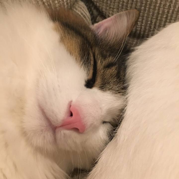 D3253fbc 6b5d 479a ae90 e6ecb857a00a 1508802884587