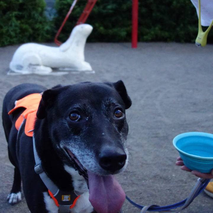 D32545fe 51cb 4119 a70a 9f3c34b5b6d1 1750504110012