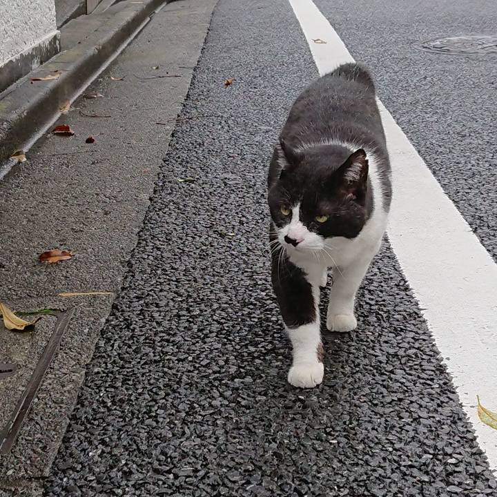 D3255abd 5f96 464d ab78 8db23c70881e 1625276367232