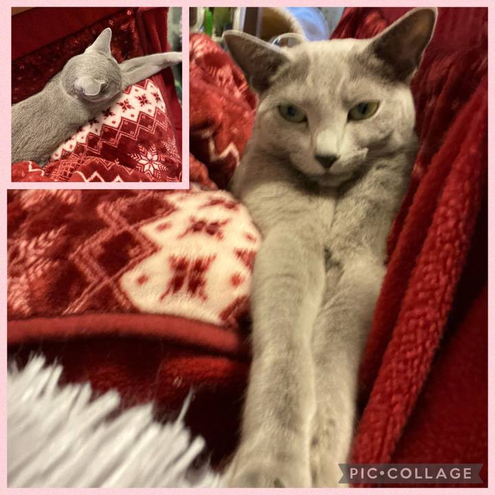 D3258682 09a6 4777 9798 13285aeb46c9 1675950766648