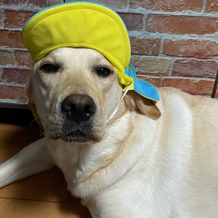 D3258b00 e6fa 4c02 b2a9 5247d779b097 1648717740984