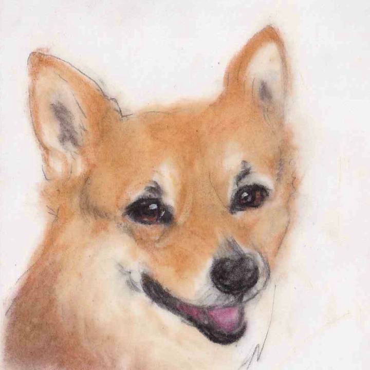 D32593a3 1f9b 4cf4 a2b8 cadbee8620af 1661439055779