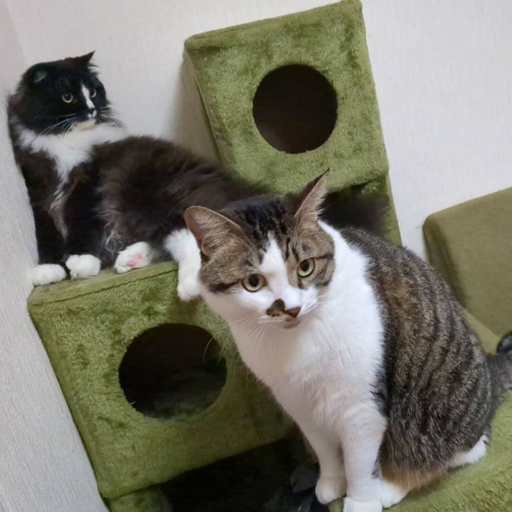 D325ec3c b33e 419a a23b 4b0e5014b2aa 1722912920487