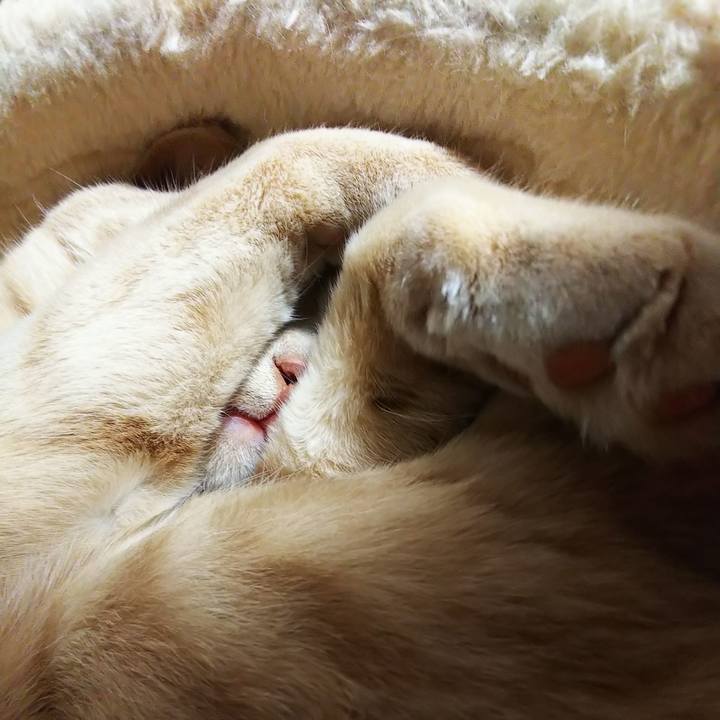 D32605f9 8099 4867 9e67 de0cc2cdd195 1623674737350