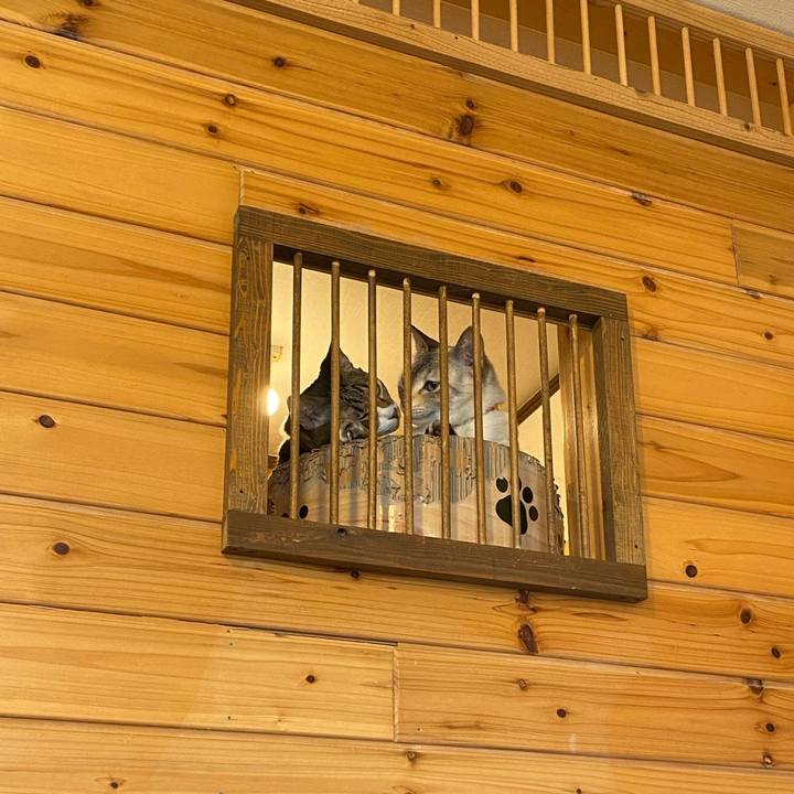 D3260660 edd9 45ca a19a 2b9fc8398e8e 1713932945382