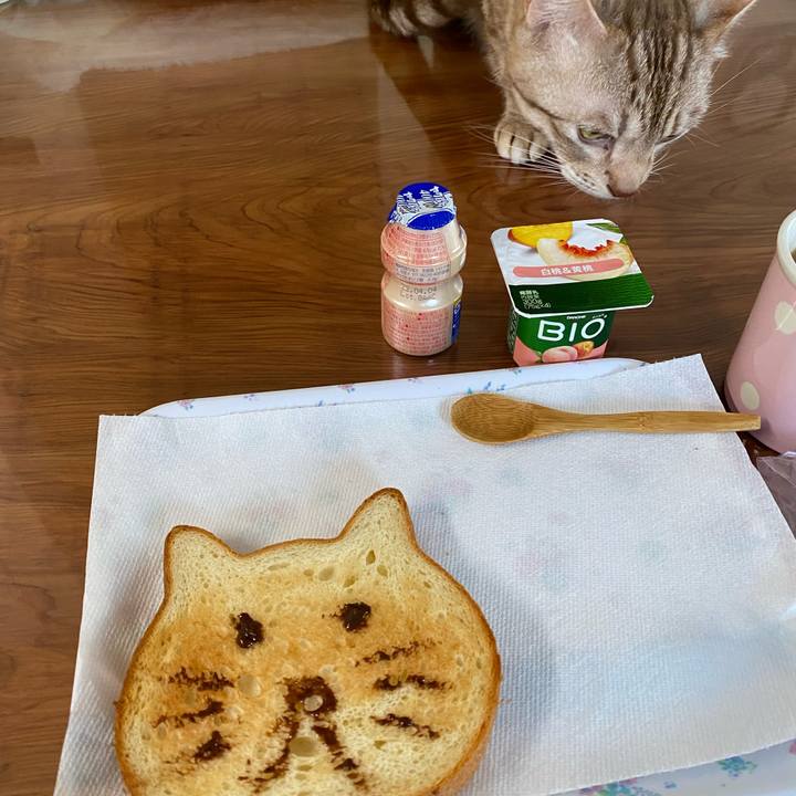 D32612d5 0325 4a45 a23d d1902b6f6763 1648252520688