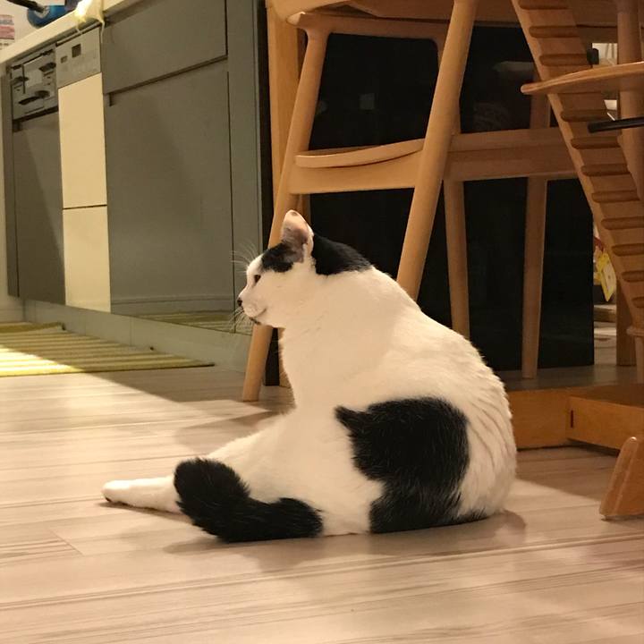 D32615ed e853 4774 9cc7 69f114f35248 1509885055881