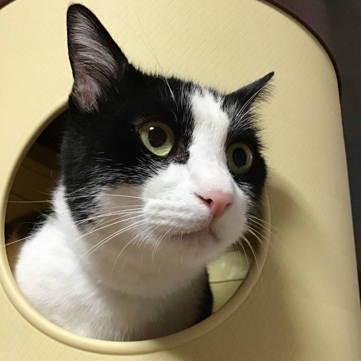 D326272c ccd8 43aa b2c9 87de06c971e9 1693834100752