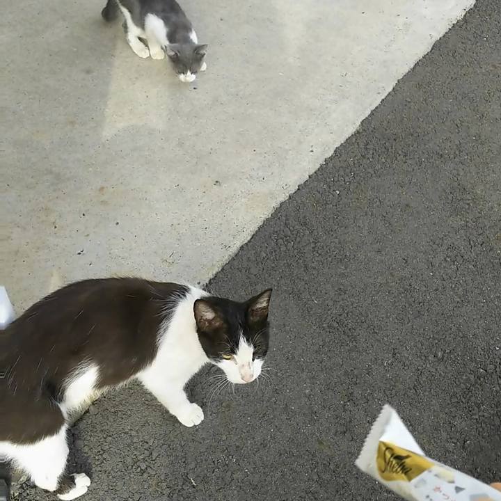 D32639a3 6d61 40f1 82a6 c0f50b0aa596 1530570433269