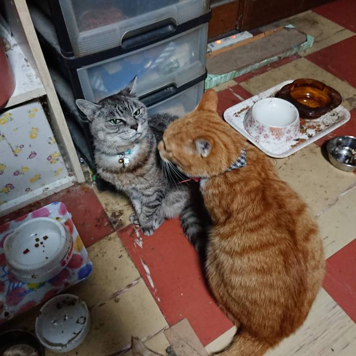 D3263aa3 4445 4e74 8555 602fc750b994 1602878144100