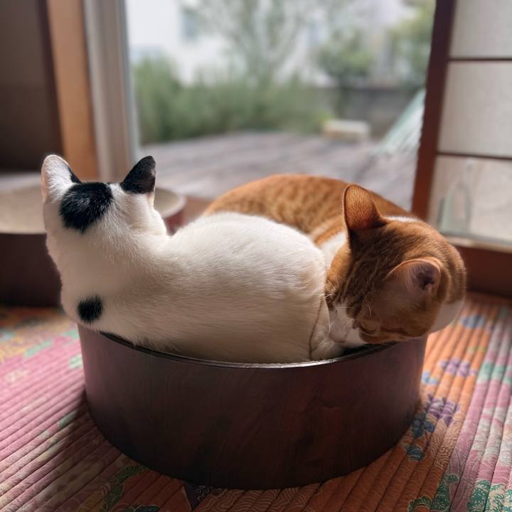 D32649d8 ee9d 48d4 9056 92a325eb371f 1770815792264