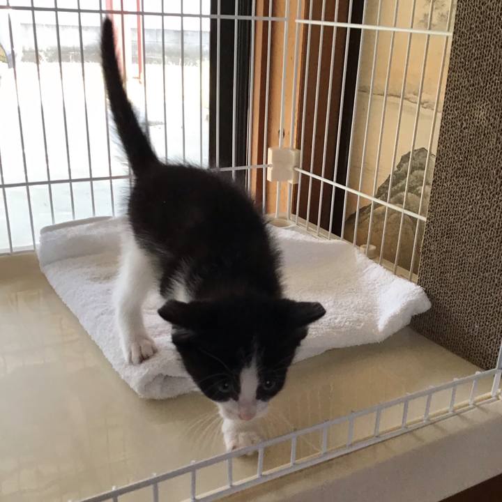 D3265770 a055 4115 8173 23e00b1fd152 1623051483479