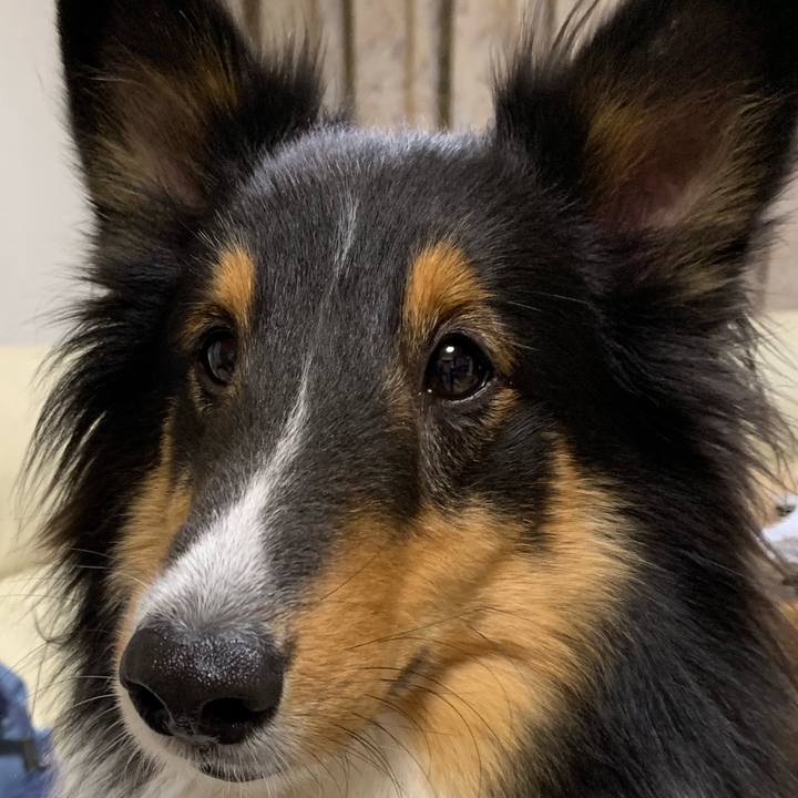 D3268670 06e7 4d64 8ae3 1683ea090e50 1574770430760