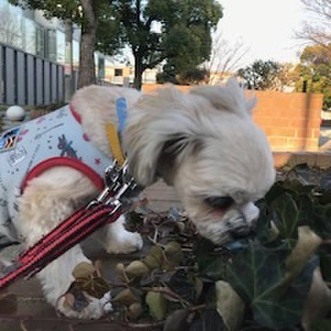 D326b653 fd74 435e a143 96317d35f894 1520856500391