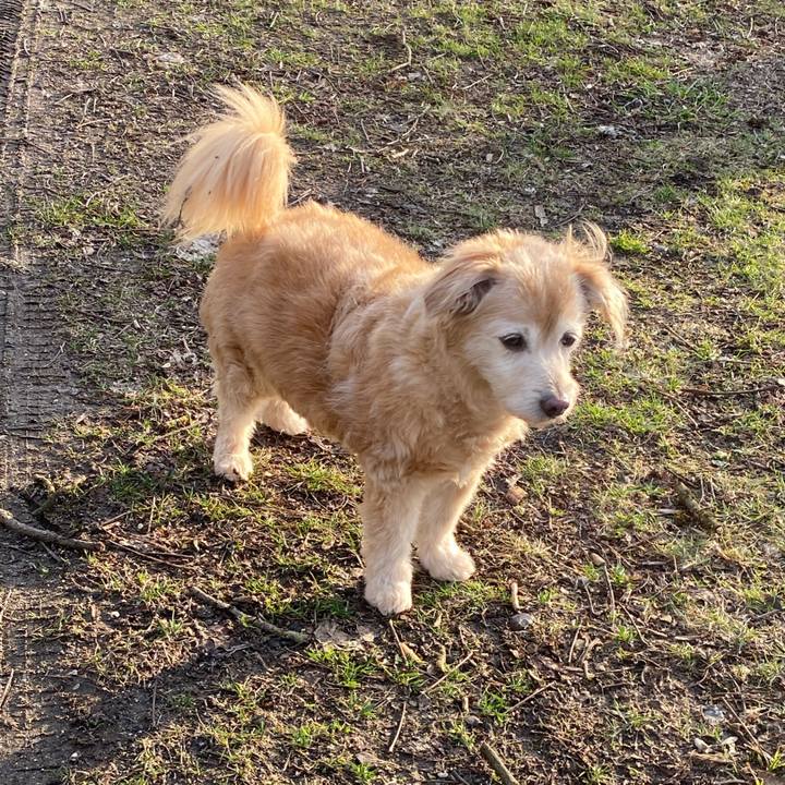 D326dc5a 64c6 4a35 b82f 6c023d8752c2 1773216227750