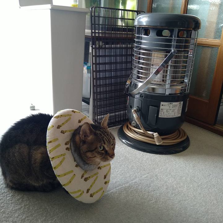 D326ecce df5a 4be6 adcc 503a323fdb76 1731119313571