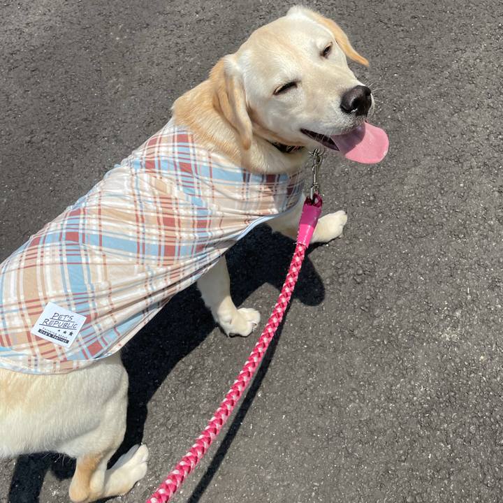 D3270433 5057 4c17 8059 20850a390cee 1620962644429