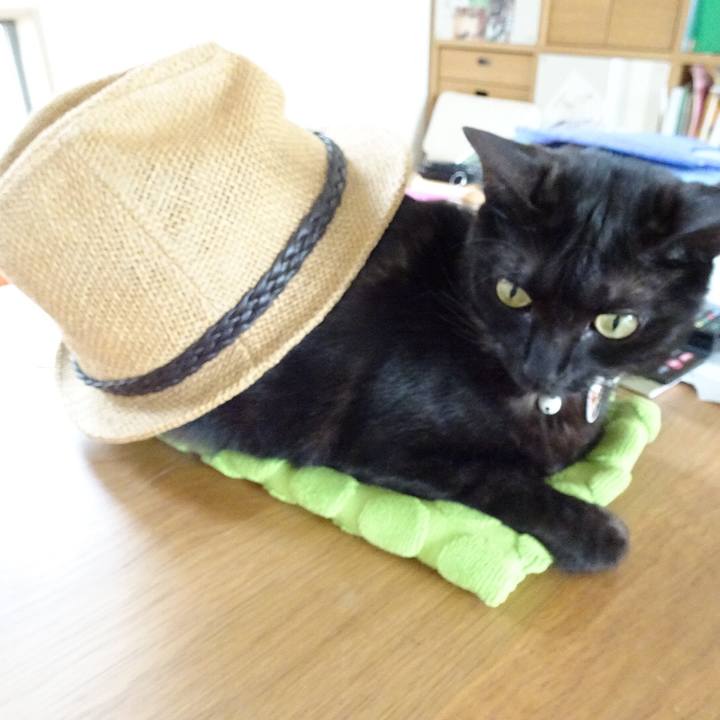 D327205f ac94 46e3 b3ab 941bdf7071c0 1525739648741