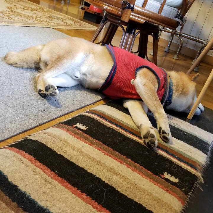 D3272a2b fd1a 4de3 97cc 10e8482877c3 1583626570790