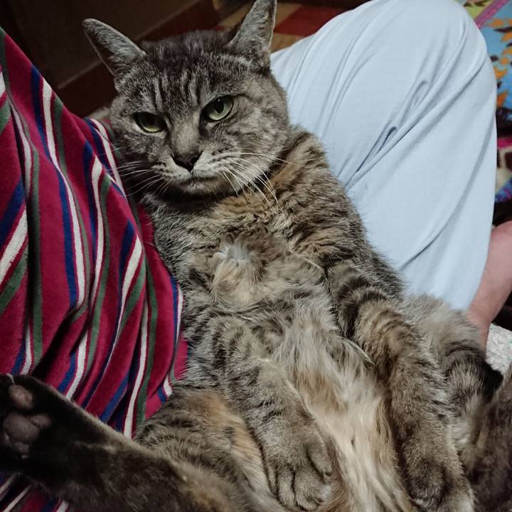 D3273d30 1a90 439c 8225 a266a70fa8db 1574675228086