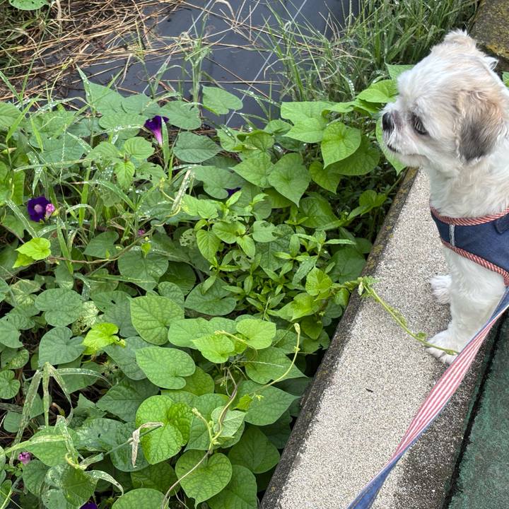 D32759c2 91e6 4df2 bc0c 3340a99053d3 1758836811069