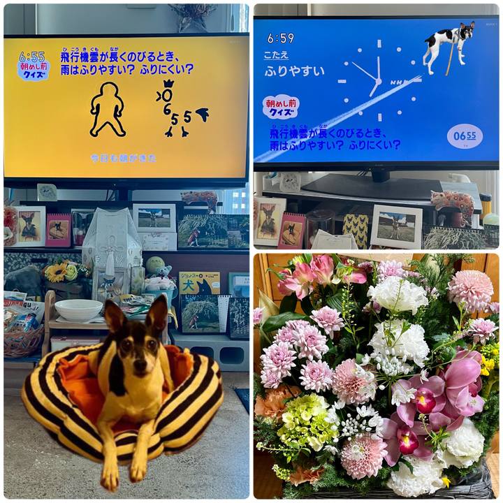 D3275f4e 40f5 4a3a b058 89d75d204464 1678831511054