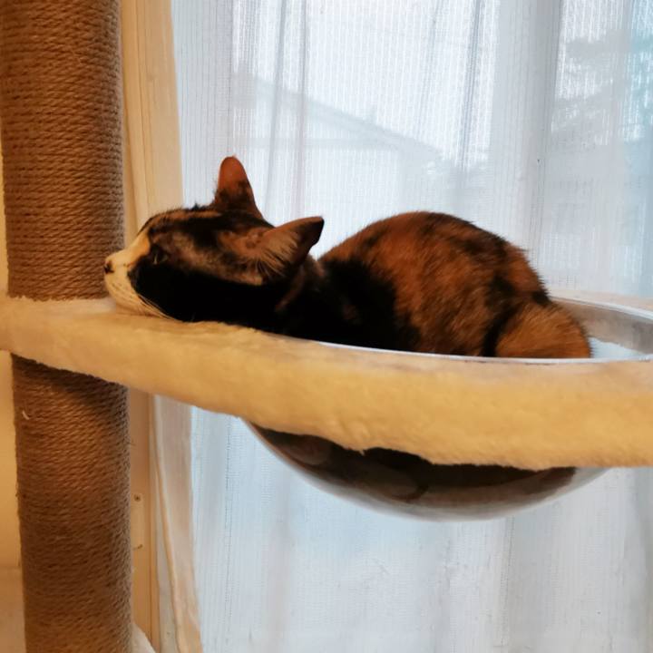 D32769a1 f20c 45b4 82e0 44387fa8ec36 1632209902595