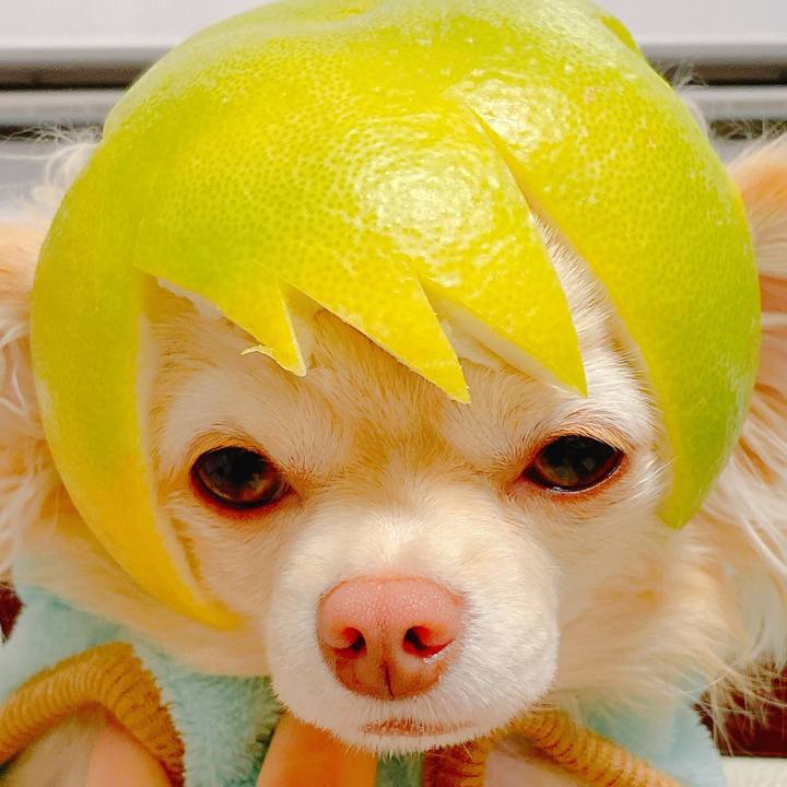 D32786c6 80b5 4b9e afde 063d59584d9f 1641632091388