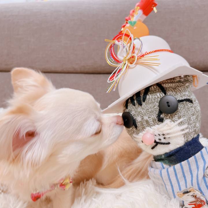 D3280710 b7be 4381 b3a9 ce46f1f6ea9f 1673441934508