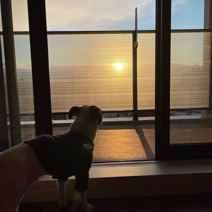 D3281c5d 135e 40c2 8f3b d54176eb5ac2 1645048798882