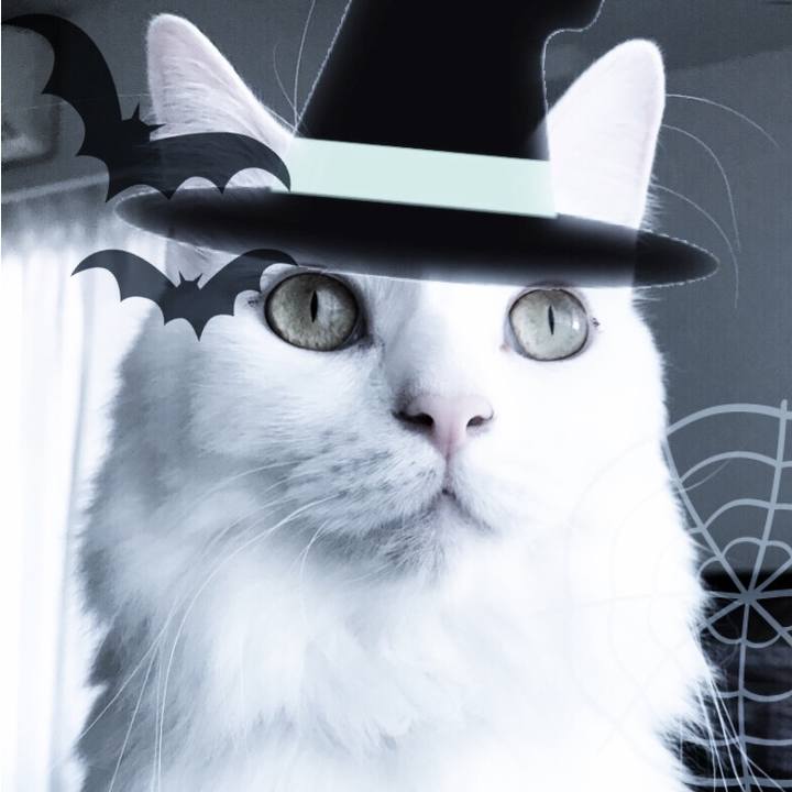 D328369c d0c9 44b5 993c f8b8ed7037a9 1540909469105