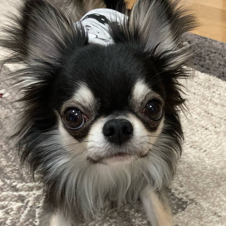 D328559f 8275 4ced a353 c98c27563780 1616278261366