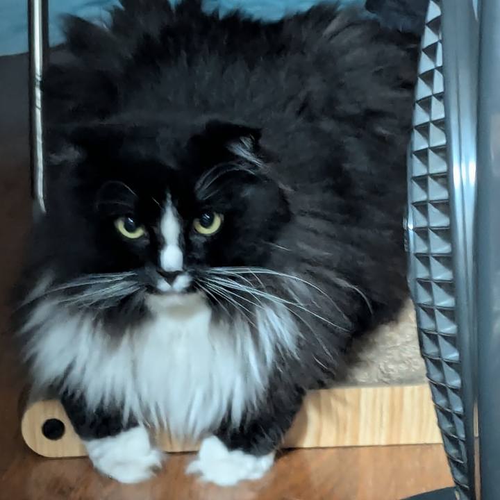 D328cdcf 9d09 4933 8739 321328d41604 1720610516765