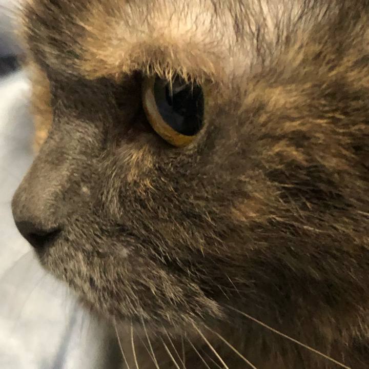 D328e0e1 3cf6 49ec 86b8 ee36aff20e5e 1549634298438