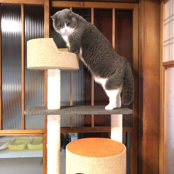 D328ea6b a3c3 4bcd 9cae 7d6514baa9a0 1580716300902