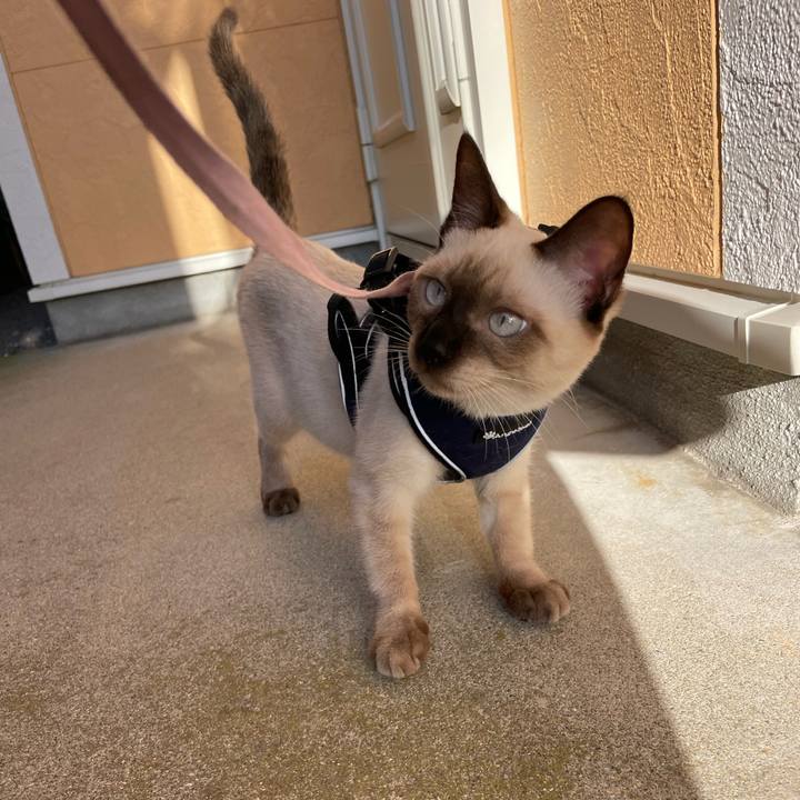 D329010d 6589 4914 9b00 31b209b59b9c 1695549093892