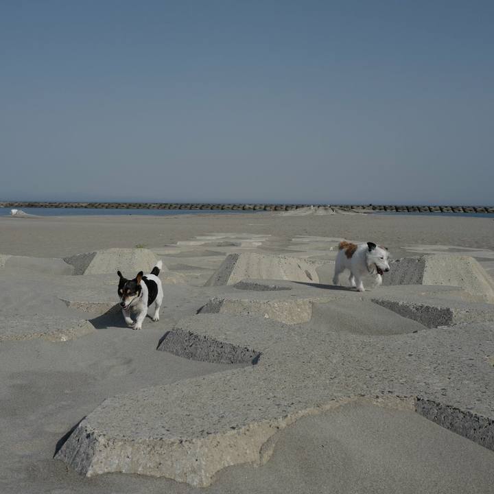 D3290a70 3a40 48ef bc4a 9776f15a7162 1526360728052