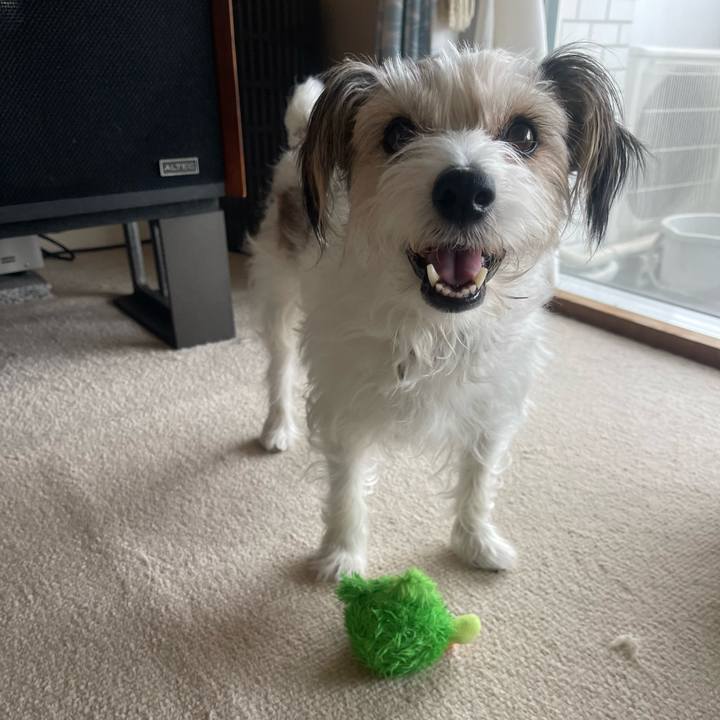 D32934b2 f075 433a 95e4 4691d6314887 1760962832725