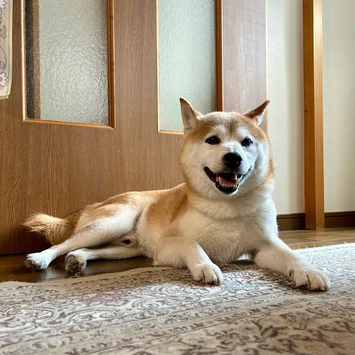 D32a047f 7b1b 42d7 8336 b21c0daff53a 1724412209912