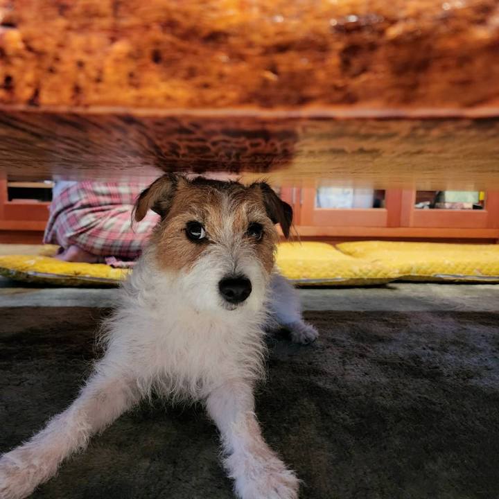 D32a32c6 ff84 4c8e b30d 9c92fd03cc54 1669160962221