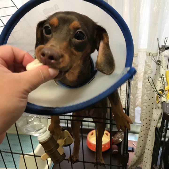 D32a6e90 cc3f 40ee beb5 a02c4e06ffe8 1511405696383