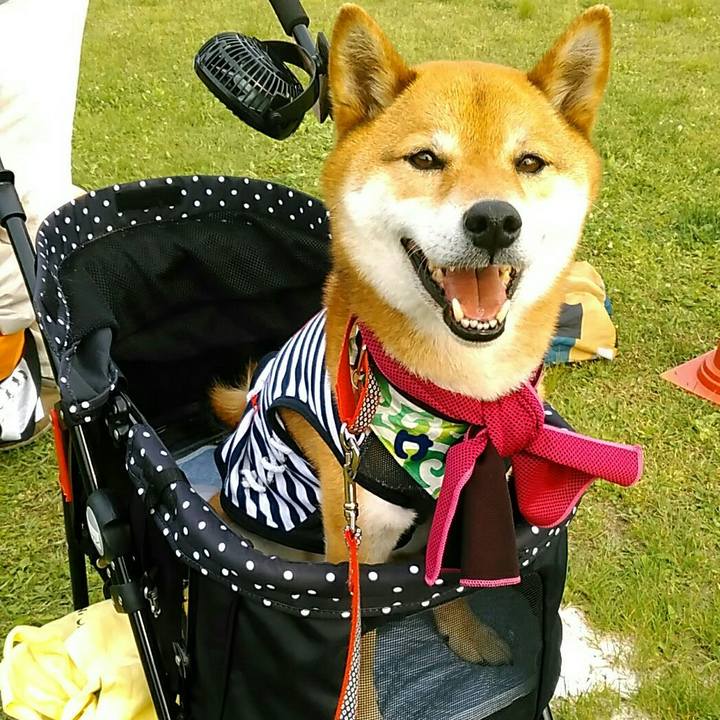 D32aa7f1 564f 4299 8f4d 639daf44bf10 1558884763977