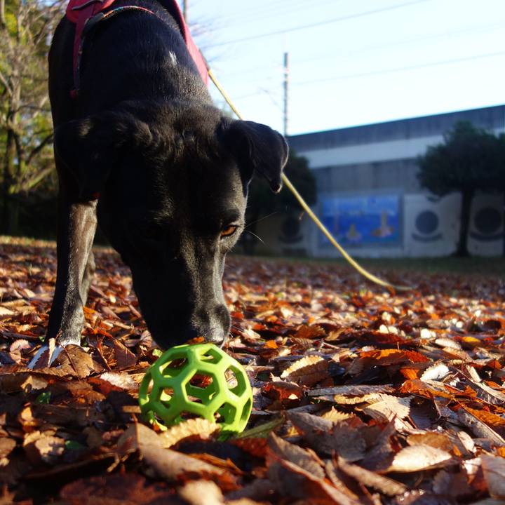 D32abb16 1a1a 4f62 8f8d 4188aa589217 1606351389548