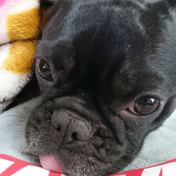 D32abda6 8090 40f7 aabf 90f4c550faf7 1516601925902