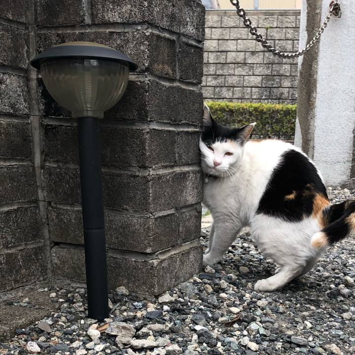 D32aeaac df9f 4304 9649 cfdd6653def7 1619130237661