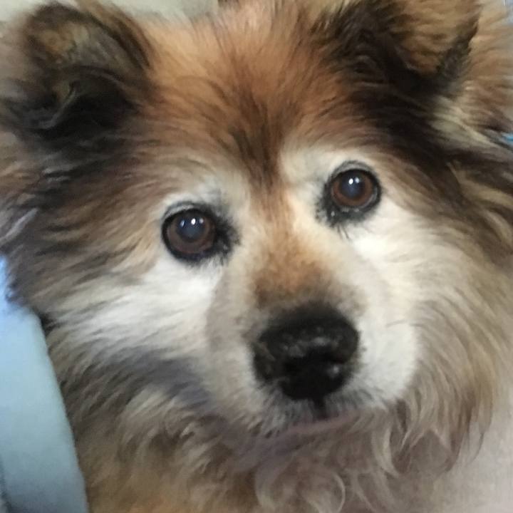 D32af363 8097 411d 99d4 0fc9aefa094a 1613353478128