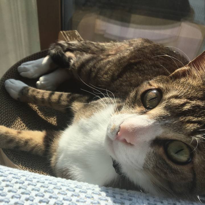 D32b105b 892b 4f81 b233 0e11693fc077 1679701144443