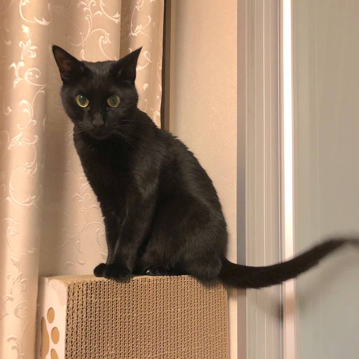 D32b182e 6daa 4a24 9b7f ca7366f66233 1518443289955